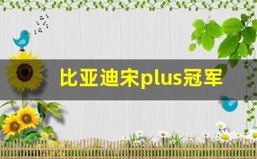 比亚迪宋plus冠军版2023新,比亚迪新车消息