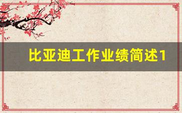 比亚迪工作业绩简述100字内,比亚迪业绩报告