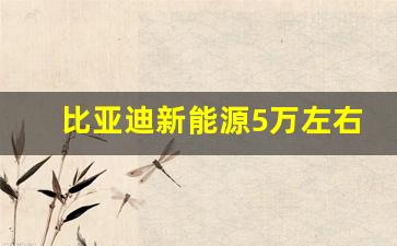 比亚迪新能源5万左右的车型,5万左右的纯电suv