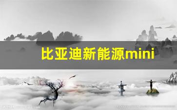 比亚迪新能源mini,5万新能源汽车推荐