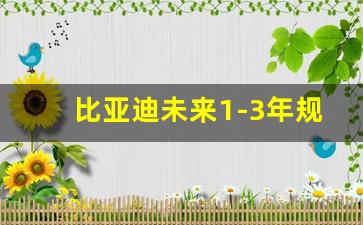 比亚迪未来1-3年规划