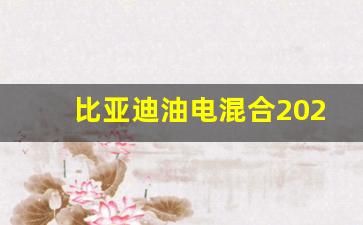 比亚迪油电混合2023款suv,2023比亚迪全部价格表