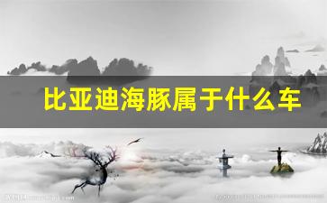 比亚迪海豚属于什么车型,2023款海豚图片