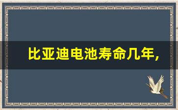 比亚迪电池寿命几年,纯电车能开十年八年吗