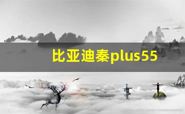 比亚迪秦plus55km可以快充吗,秦plusdmi55能用快充充电桩