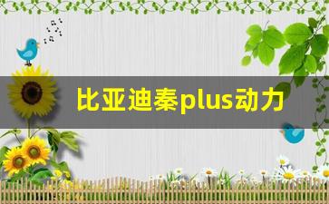 比亚迪秦plus动力参数,比亚迪秦dmi详细配置