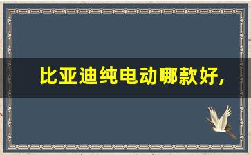 比亚迪纯电动哪款好,比亚迪新能源10万左右