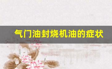 气门油封烧机油的症状,废气阀坏了最明显的现象