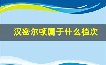 汉密尔顿属于什么档次的表,汉密尔顿手表世界排名