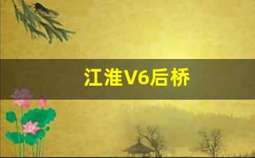 江淮V6后桥