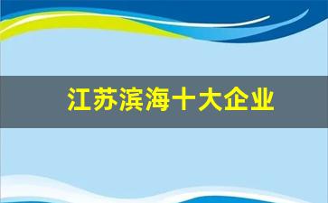 江苏滨海十大企业