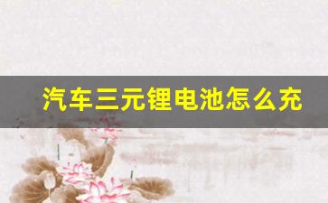 汽车三元锂电池怎么充电最好