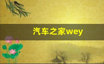 汽车之家wey