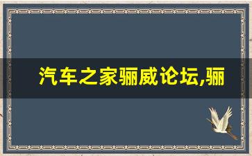 汽车之家骊威论坛,骊威皮带换原厂的好还是盖茨的好