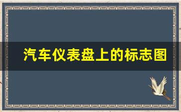 汽车仪表盘上的标志图解大全