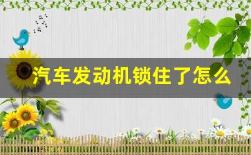 汽车发动机锁住了怎么解锁,汽车防盗锁亮了如何解除