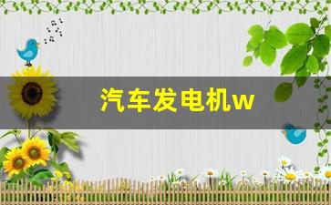 汽车发电机w