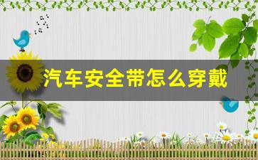 汽车安全带怎么穿戴