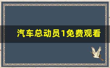 汽车总动员1免费观看