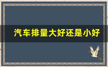 汽车排量大好还是小好,家用车一般买多大排量