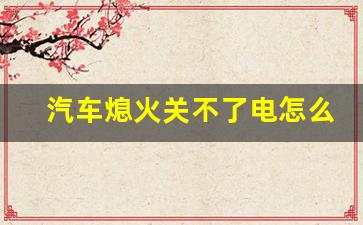 汽车熄火关不了电怎么办,车熄火了显示屏还亮着怎么办