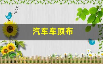 汽车车顶布