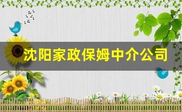 沈阳家政保姆中介公司电话,北京最大最可靠的家政公司电话