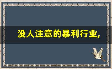 没人注意的暴利行业,现在适合投资什么项目