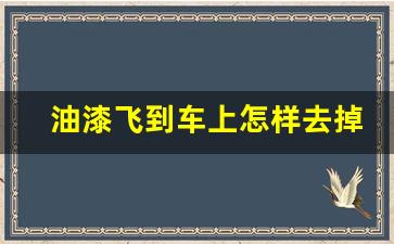 油漆飞到车上怎样去掉