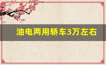 油电两用轿车3万左右,3万一4万自动挡新车油车