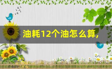 油耗12个油怎么算,汽车高老庄优质答主广告语