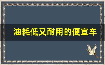 油耗低又耐用的便宜车,省油耐用的家用车前十