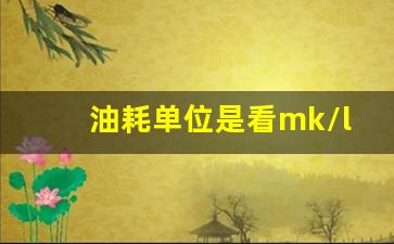 油耗单位是看mk/l,还是l/100km