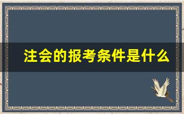 注会的报考条件是什么,注会报名时间2024年