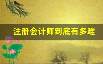 注册会计师到底有多难考