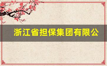 浙江省担保集团有限公司是国企吗,浙江省担保集团副厅级