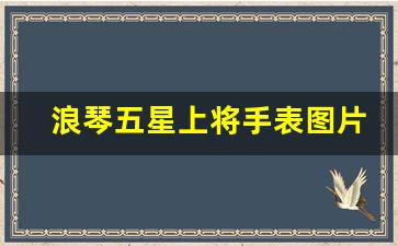 浪琴五星上将手表图片报价