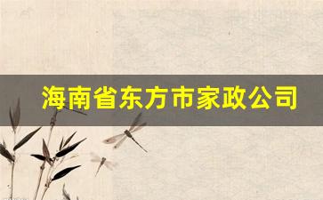 海南省东方市家政公司前10名,海南家政公司联系方式