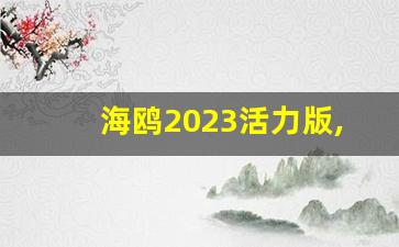 海鸥2023活力版,比亚迪小海鸥多少钱