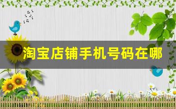 淘宝店铺手机号码在哪里查,通过淘宝号查到对方手机号