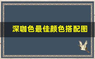 深咖色最佳颜色搭配图,咖色裤子搭配技巧图片