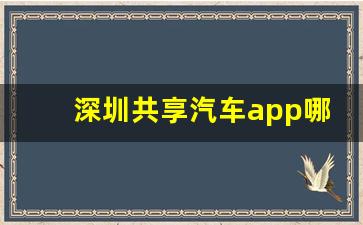 深圳共享汽车app哪个好用且实惠,深圳租共享汽车用什么软件