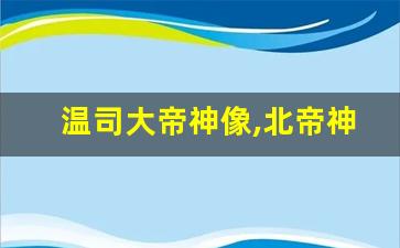 温司大帝神像,北帝神像