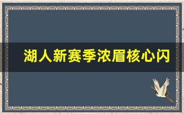 湖人新赛季浓眉核心闪耀