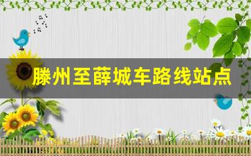 滕州至薛城车路线站点,从滕州到薛城需要多长时间