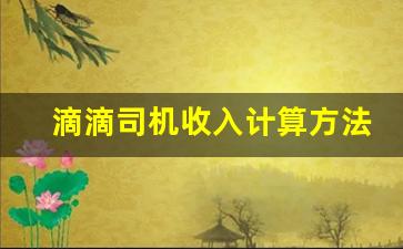 滴滴司机收入计算方法,滴滴司机收入一公里多少钱