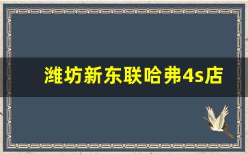 潍坊新东联哈弗4s店客服电话,潍坊广潍哈弗4s店