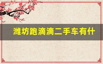 潍坊跑滴滴二手车有什么要求,潍坊跑滴滴一个月能挣多少钱