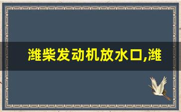 潍柴发动机放水口,潍柴放水开关视频