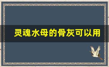 灵魂水母的骨灰可以用几次,艾尔登法环骨灰是无限使用嘛